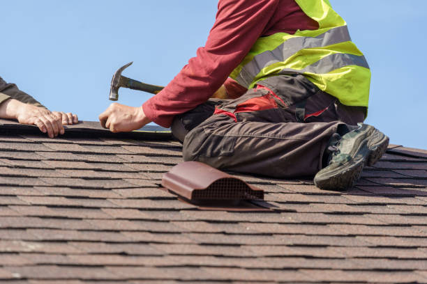 Best Roof Gutter Cleaning  in South Gate Ridge, FL